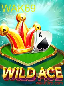 Menjelajahi Sensasi dalam Dunia Permainan 'WildAce' dan Konsep 'WAK69'